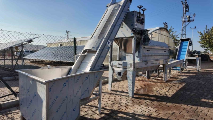 Şanlıurfalı Kadınlar Tarımsal Üretime Katılıyor