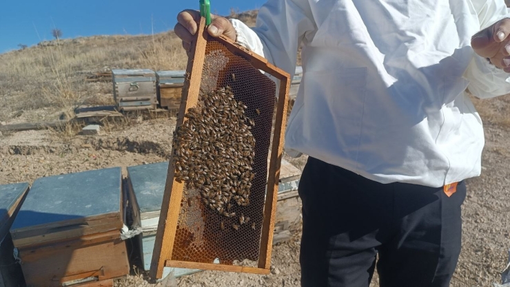 Kışa Hazırlanan Üreticiden Sahte Bal Uyarısı