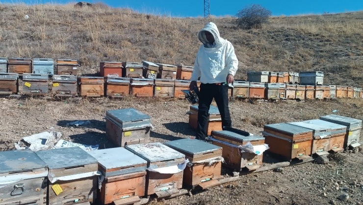 Kışa Hazırlanan Üreticiden Sahte Bal Uyarısı