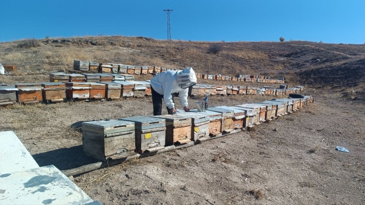 Kışa Hazırlanan Üreticiden Sahte Bal Uyarısı