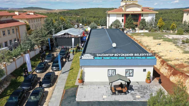 Gaziantep Büyükşehir, Umutları Yeniden Yeşertiyor