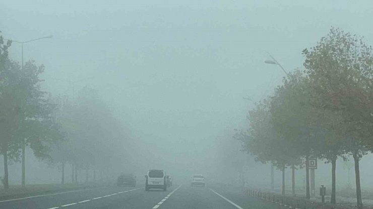 Diyarbakır’da Sis Etkili Oldu