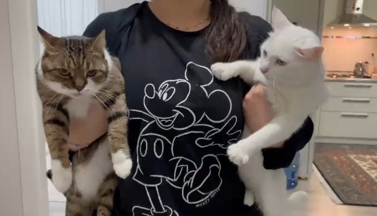 Uzmandan Evcil Hayvanlarda Aşı Uyarısı