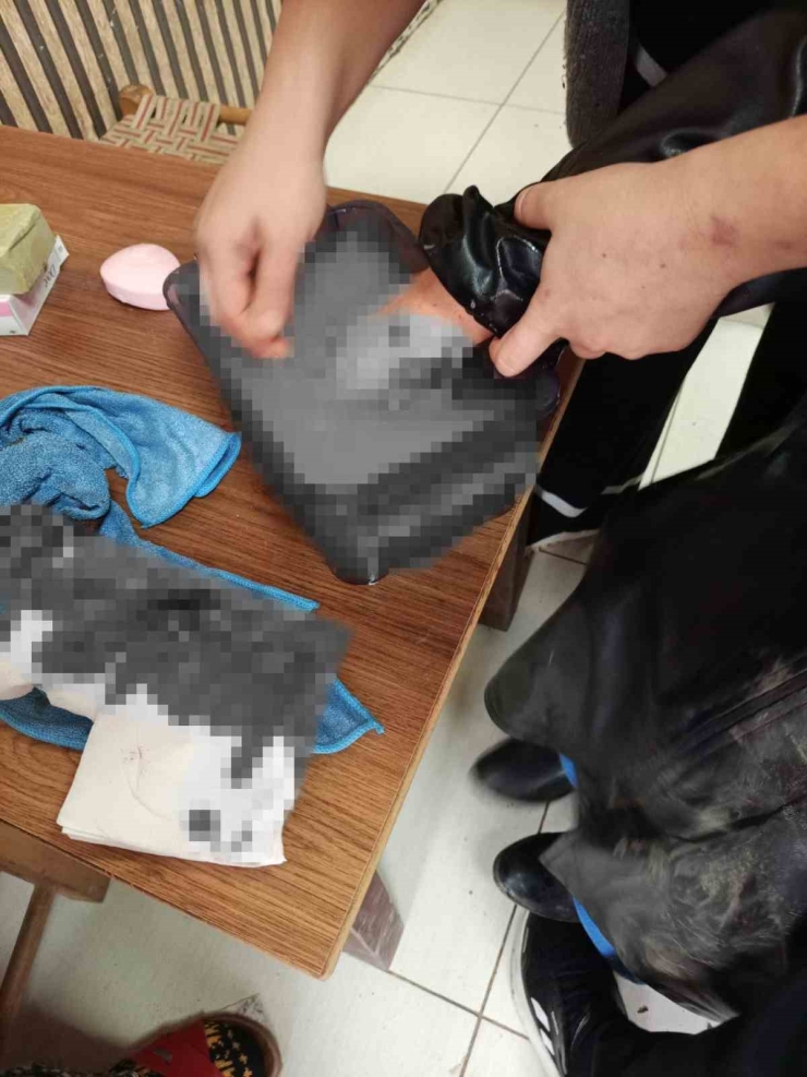 Diyarbakır’da Başıboş Sokak Köpeği Dehşeti