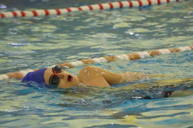 Büyükşehir Belediyesi Sporcuları 1 Kupa İle 48 Madalya Kazandı