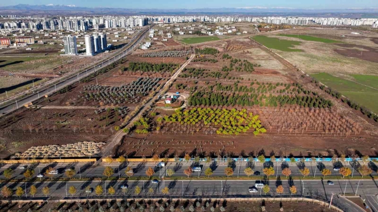 Diyarbakır’a Nefes Aldıracak Naturapark’ta Altyapı Çalışmaları Başladı