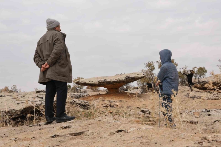 Diyarbakır’da Buzul Çağ Kalıntısı: Tam 6 Milyon Yıl Önceye Ait