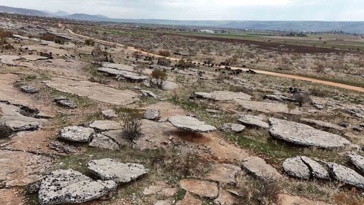 Diyarbakır’da Buzul Çağ Kalıntısı: Tam 6 Milyon Yıl Önceye Ait