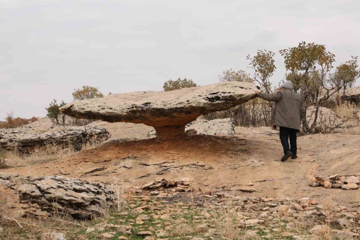 Diyarbakır’da Buzul Çağ Kalıntısı: Tam 6 Milyon Yıl Önceye Ait