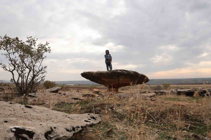 Diyarbakır’da Buzul Çağ Kalıntısı: Tam 6 Milyon Yıl Önceye Ait