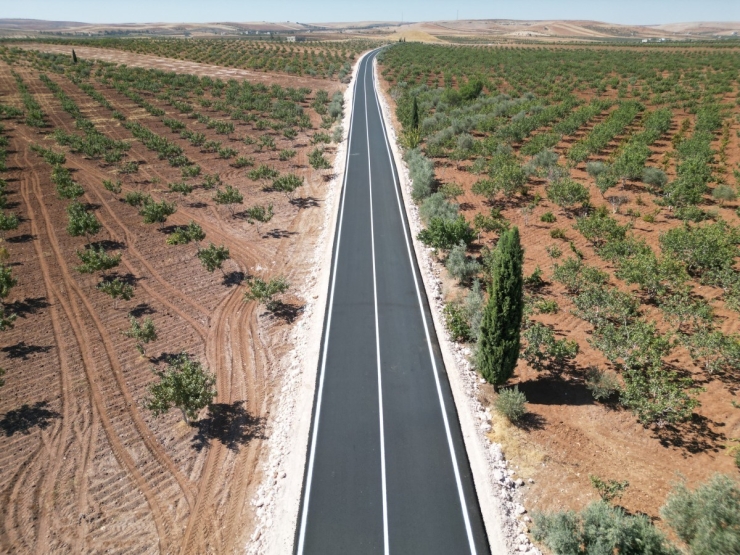 Şanlıurfa Kırsalında Bin 296 Kilometrelik Yol Çalışması