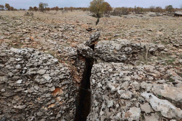 Diyarbakır’da Yüz Milyonlarca Yıl Önceye Ait Fosiller Bulundu