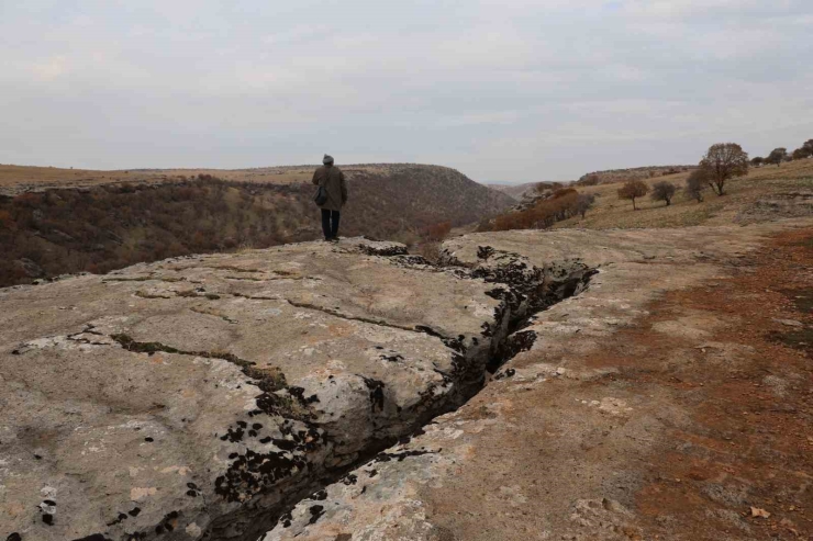 Diyarbakır’da Yüz Milyonlarca Yıl Önceye Ait Fosiller Bulundu