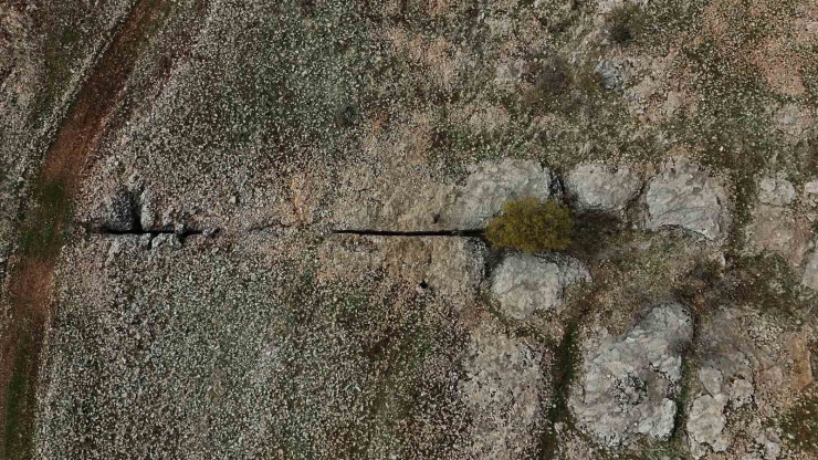 Diyarbakır’da Yüz Milyonlarca Yıl Önceye Ait Fosiller Bulundu