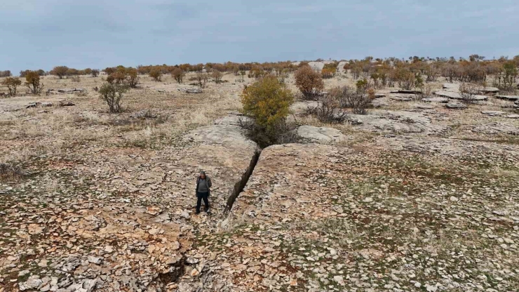 Diyarbakır’da Yüz Milyonlarca Yıl Önceye Ait Fosiller Bulundu