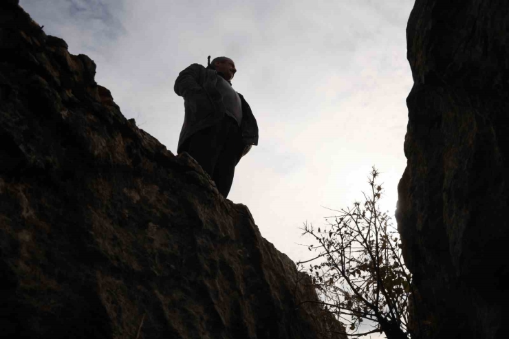 Diyarbakır’da Yüz Milyonlarca Yıl Önceye Ait Fosiller Bulundu