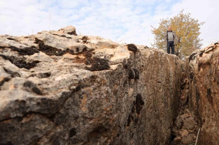 Diyarbakır’da Yüz Milyonlarca Yıl Önceye Ait Fosiller Bulundu