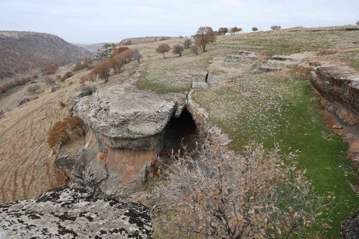 Diyarbakır’da Yüz Milyonlarca Yıl Önceye Ait Fosiller Bulundu
