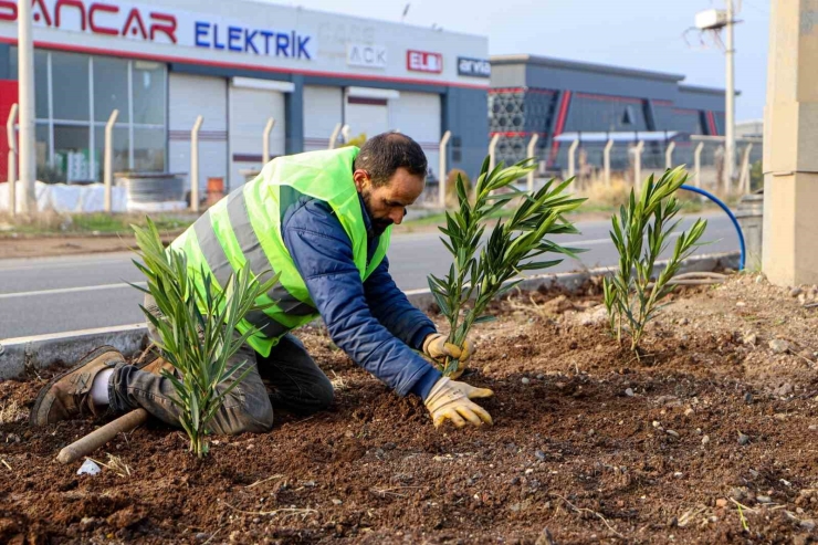 Diyarbakır’ın 14 Kilometrelik Girişi Ağaçlandırılıyor