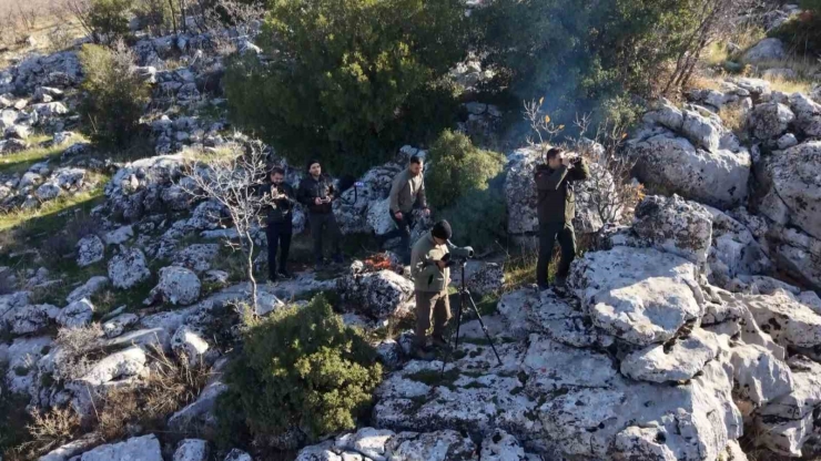 Adıyaman’da Yaban Keçileri Tek Tek Sayılıyor