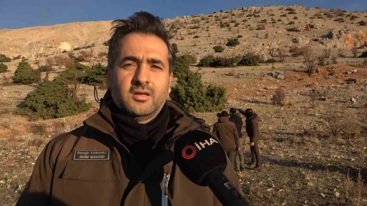 Adıyaman’da Yaban Keçileri Tek Tek Sayılıyor