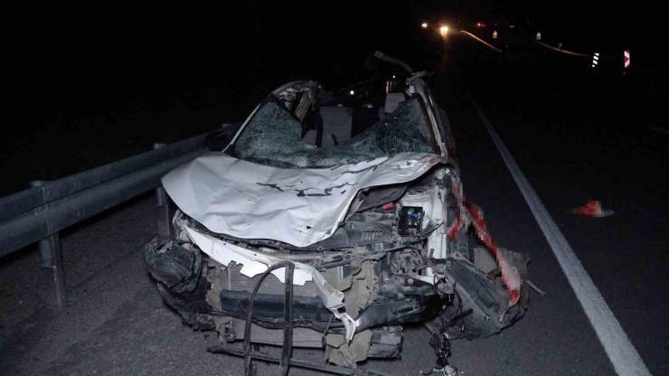 Malatya’da Kaçan Yarış Atları Karayoluna Çıktı: 6 At Telef Oldu, 2 Kişi Yaralandı