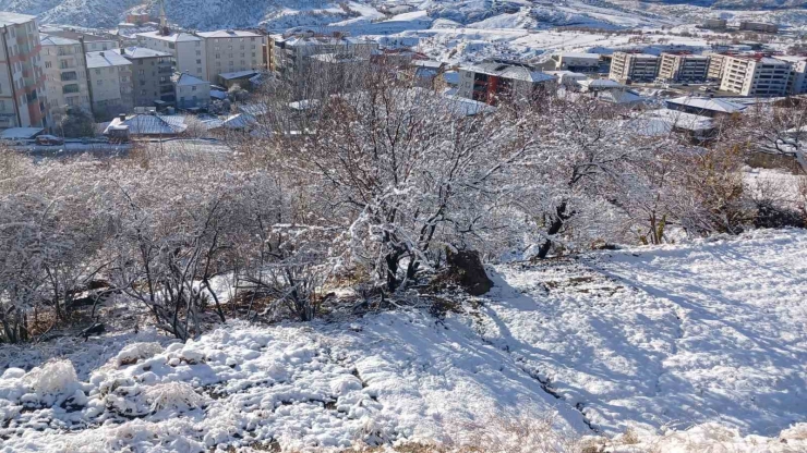 Kulp Beyaza Büründü