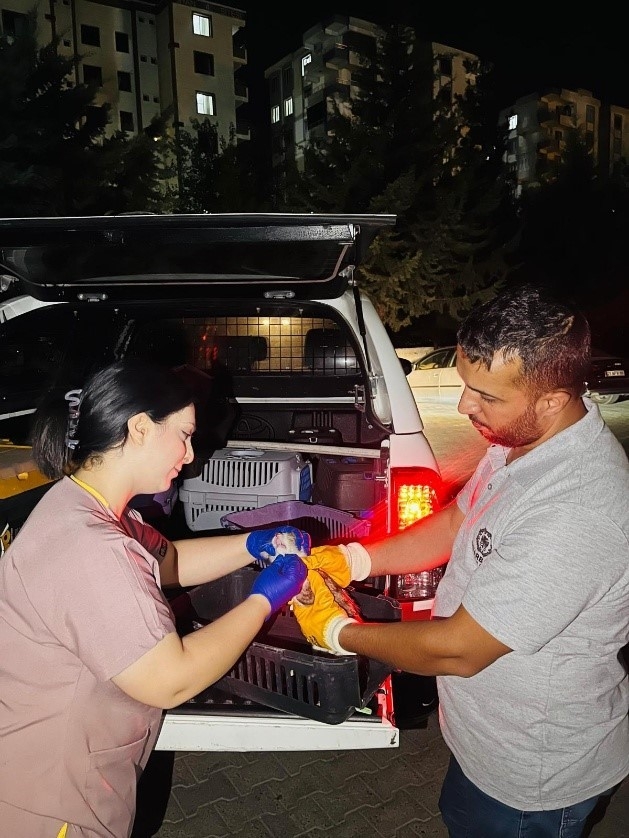 Dbb Hayvan Bakımevi 2025’te 10 Bini Aşkın İhbara Müdahale Etti