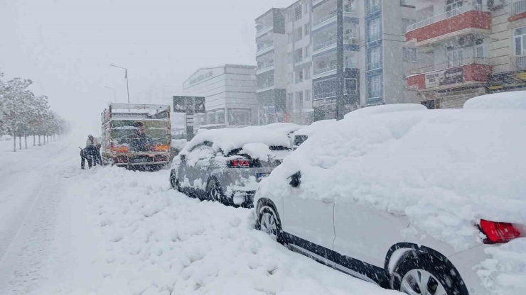 Kulp’ta 10 Yılın En Yoğun Kar Yağışı: Araçlar Kar Altında Kaldı
