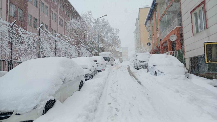 Kulp’ta 10 Yılın En Yoğun Kar Yağışı: Araçlar Kar Altında Kaldı