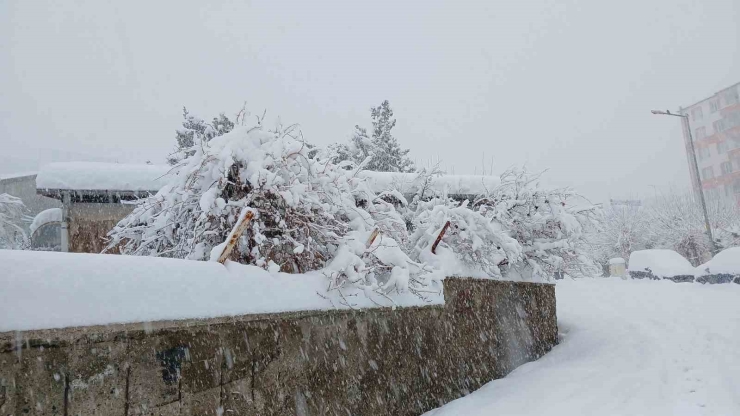 Kulp’ta 10 Yılın En Yoğun Kar Yağışı: Araçlar Kar Altında Kaldı