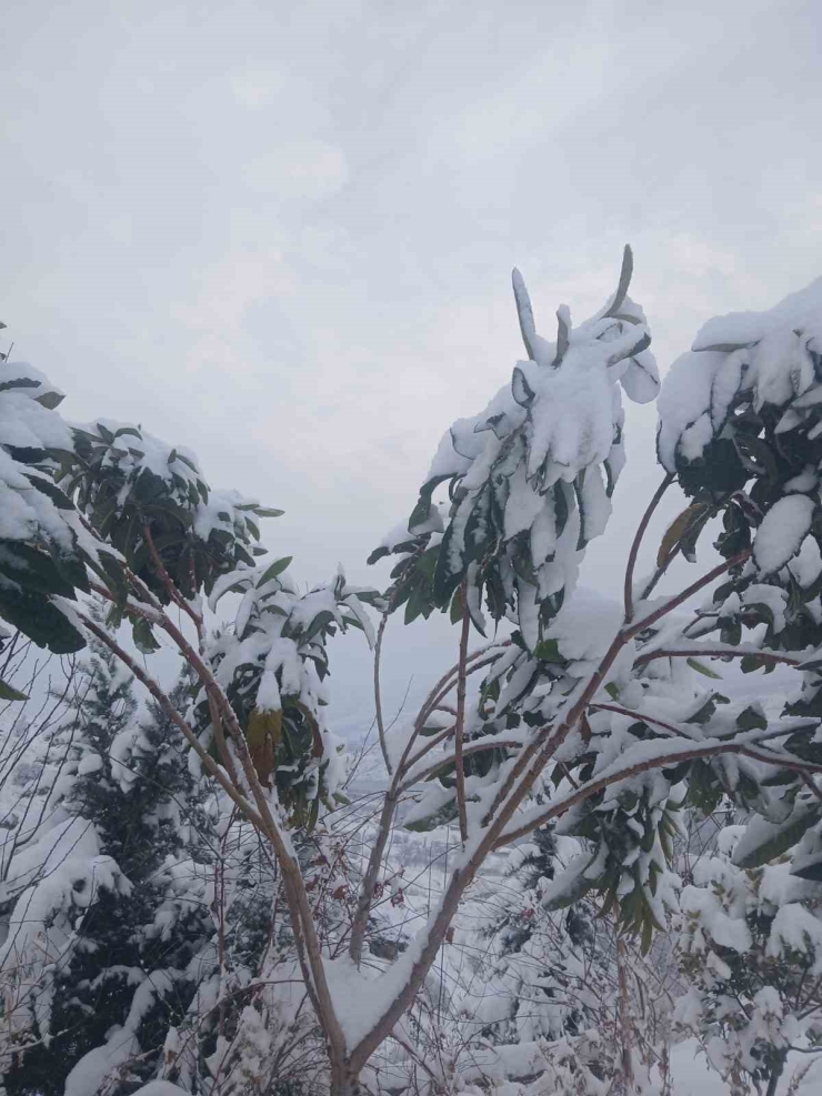 Pütürge’de Kartpostallık Görüntüler