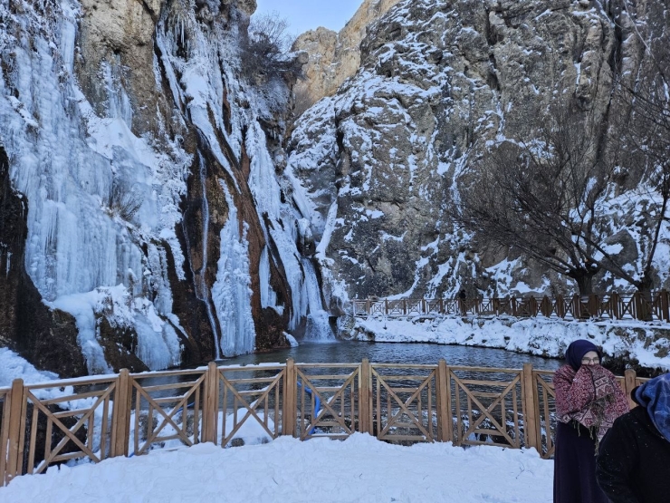 Malatya’da Gürpınar Şelalesi Buz Tuttu