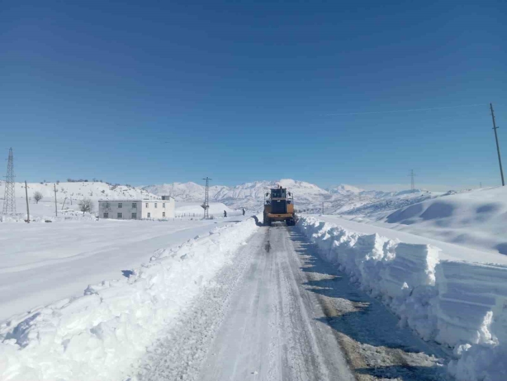 Kulp’ta Taşımalı Eğitime Kar Tatili, İlçe Merkezinde Okullar Açık