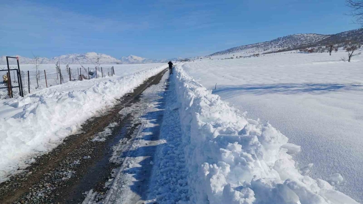Kulp’ta Taşımalı Eğitime Kar Tatili, İlçe Merkezinde Okullar Açık