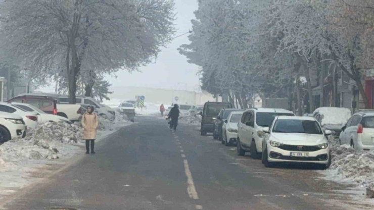 Diyarbakır Güne Sis İle Uyandı