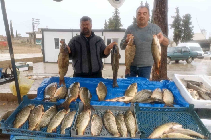 Araban’da Soğuk Hava Balığa Talebi Artırdı