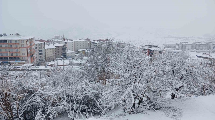 Kulp’ta Beyaz Esaret Devam Ediyor