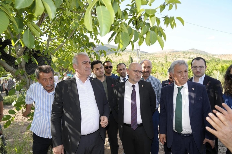 Trabzon Hurması, Dut Ve İncire Destek Ödemesi Başladı