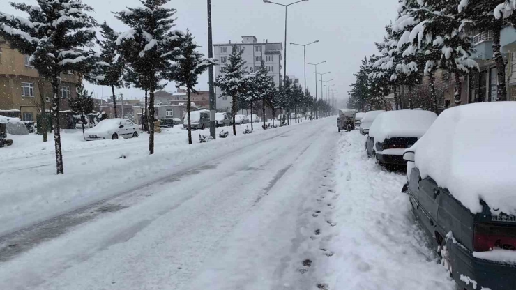 Dicle’de Yoğun Kar Hayatı Olumsuz Etkiledi