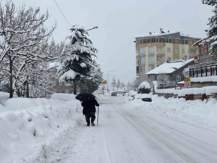 Arapgir Beyaza Büründü