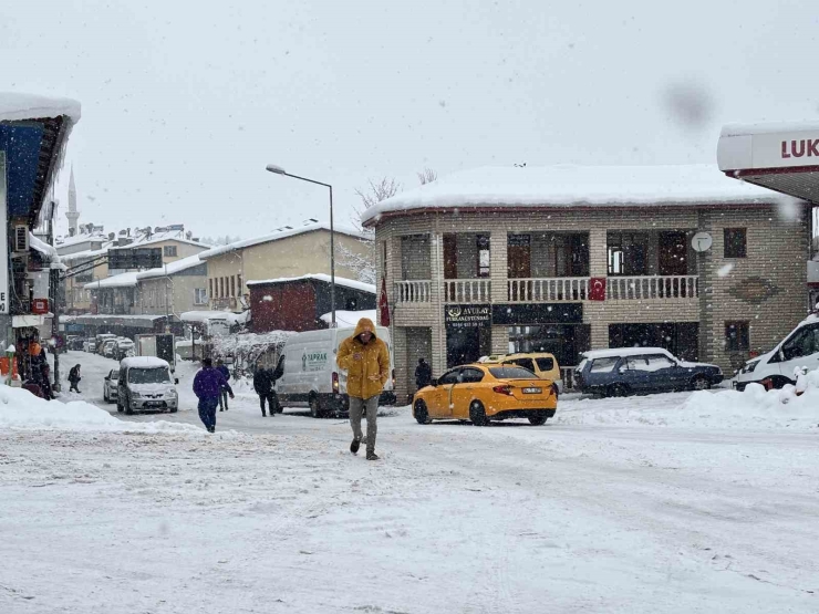 Arapgir Beyaza Büründü