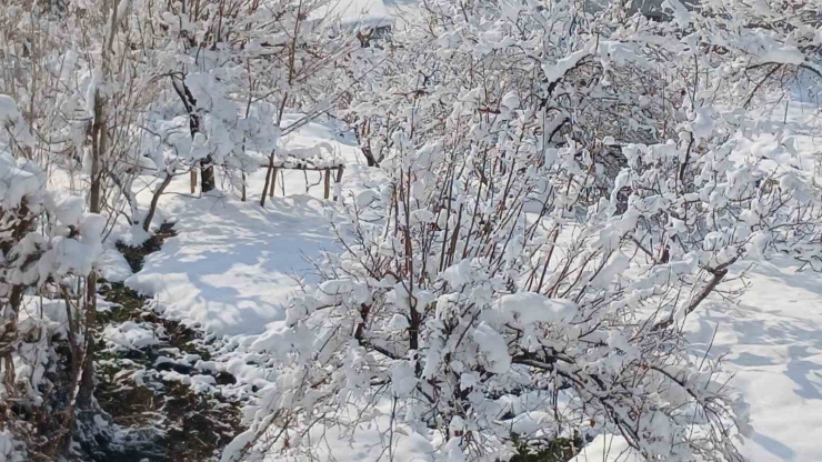 Kulp’ta Kar Manzaraları