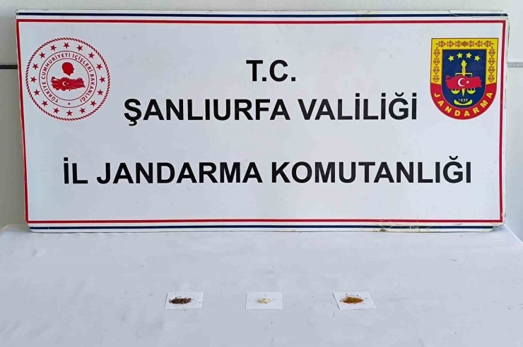 Şanlıurfa’da Uyuşturucu Operasyonu: 9 Gözaltı