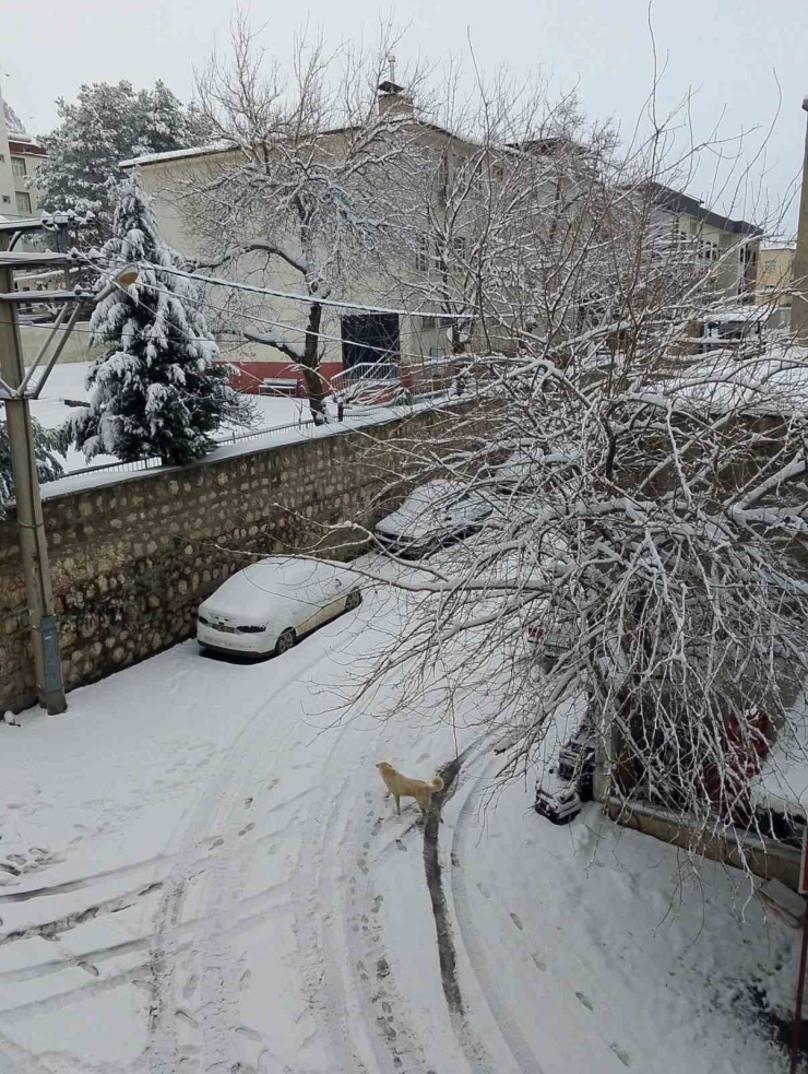 Çermik Beyaza Büründü