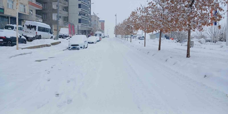 Kulp’ta Beyaz Esaret