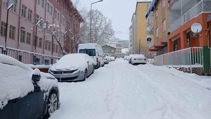 Kulp’ta Beyaz Esaret