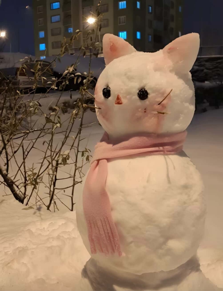 Diyarbakır’ın En Güzel Kardan Adamı Seçildi