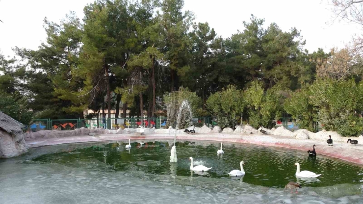 Gaziantep Doğal Yaşam Parkı’nda Yarıyıl Tatili Yoğunluğu