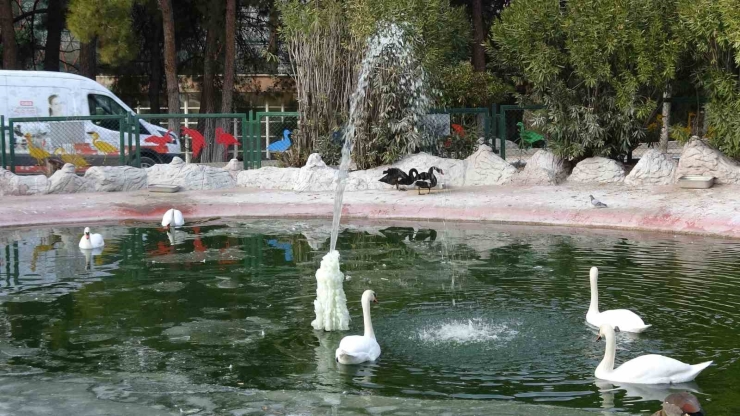 Gaziantep Doğal Yaşam Parkı’nda Yarıyıl Tatili Yoğunluğu